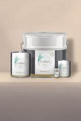 Gloine - Peinture biosourcée murs et plafonds