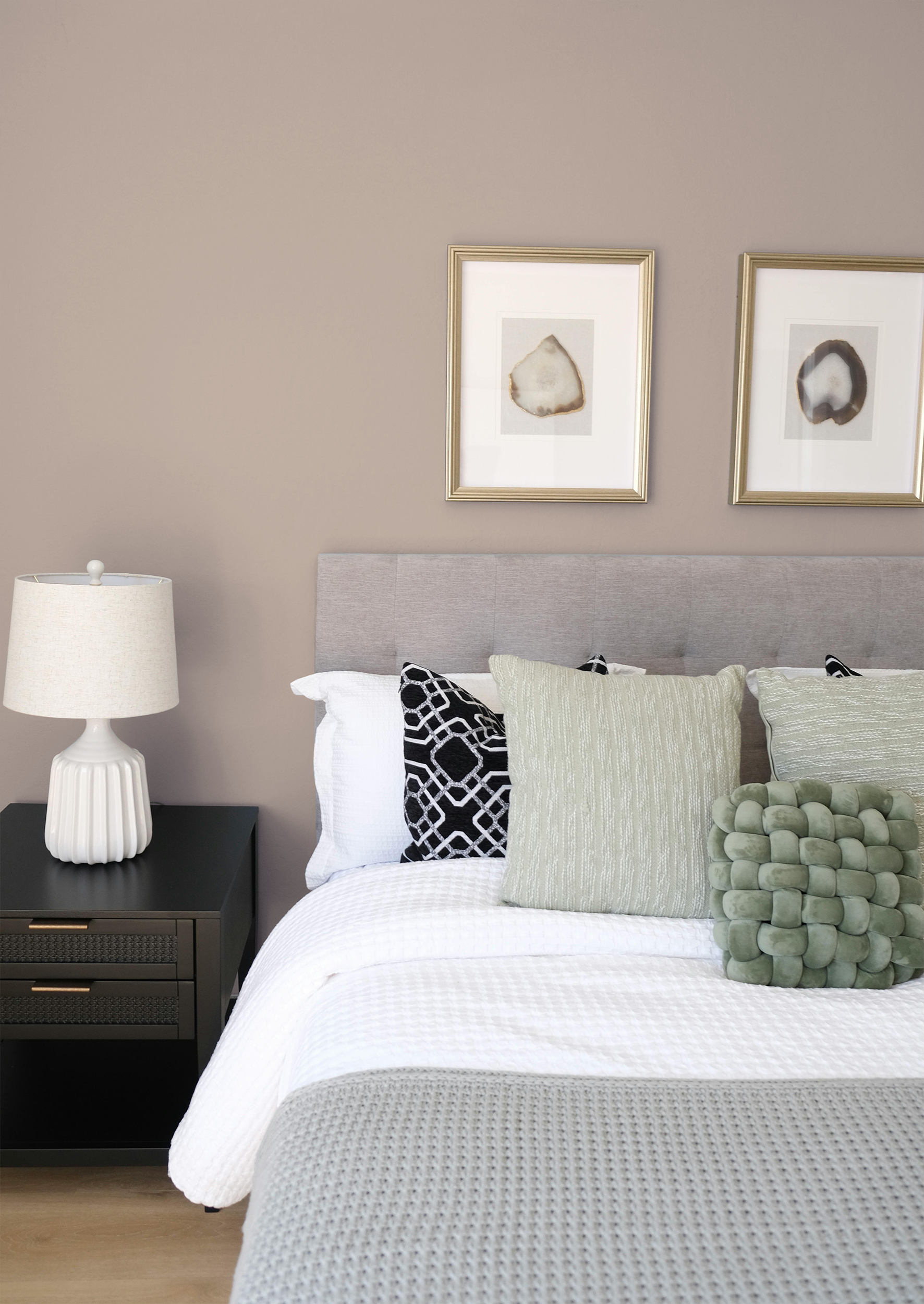 Gloine - Peinture biosourcée murs et plafonds