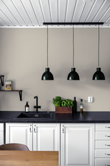 Silyne - Peinture biosourcée murs et plafonds