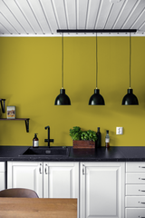 Maya - Peinture biosourcée murs et plafonds