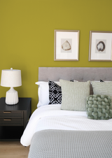 Maya - Peinture biosourcée murs et plafonds