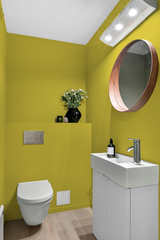 Maya - Peinture biosourcée murs et plafonds