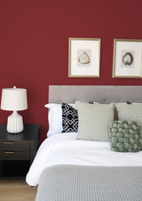 Pléna - Peinture biosourcée murs et plafond