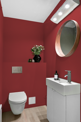 Pléna - Peinture biosourcée murs et plafond