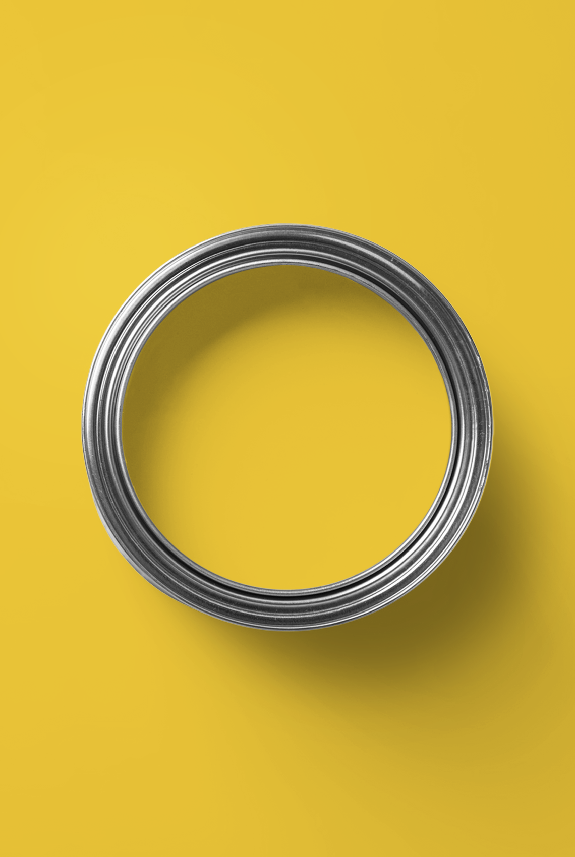 Bachata - Peinture biosourcée murs et plafonds