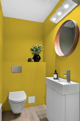 Bachata - Peinture biosourcée murs et plafonds