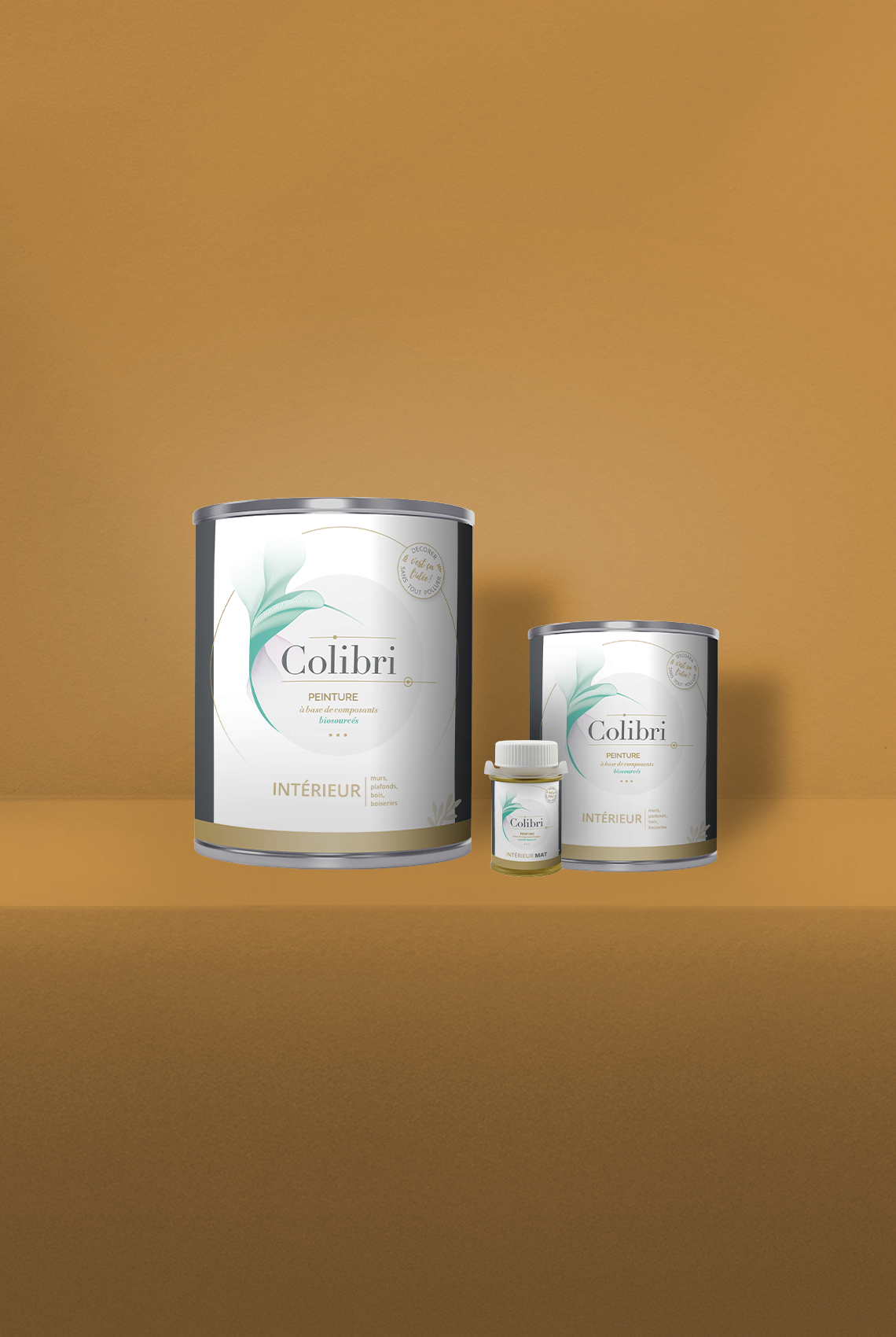 Littorine - Peinture biosourcée murs et plafond