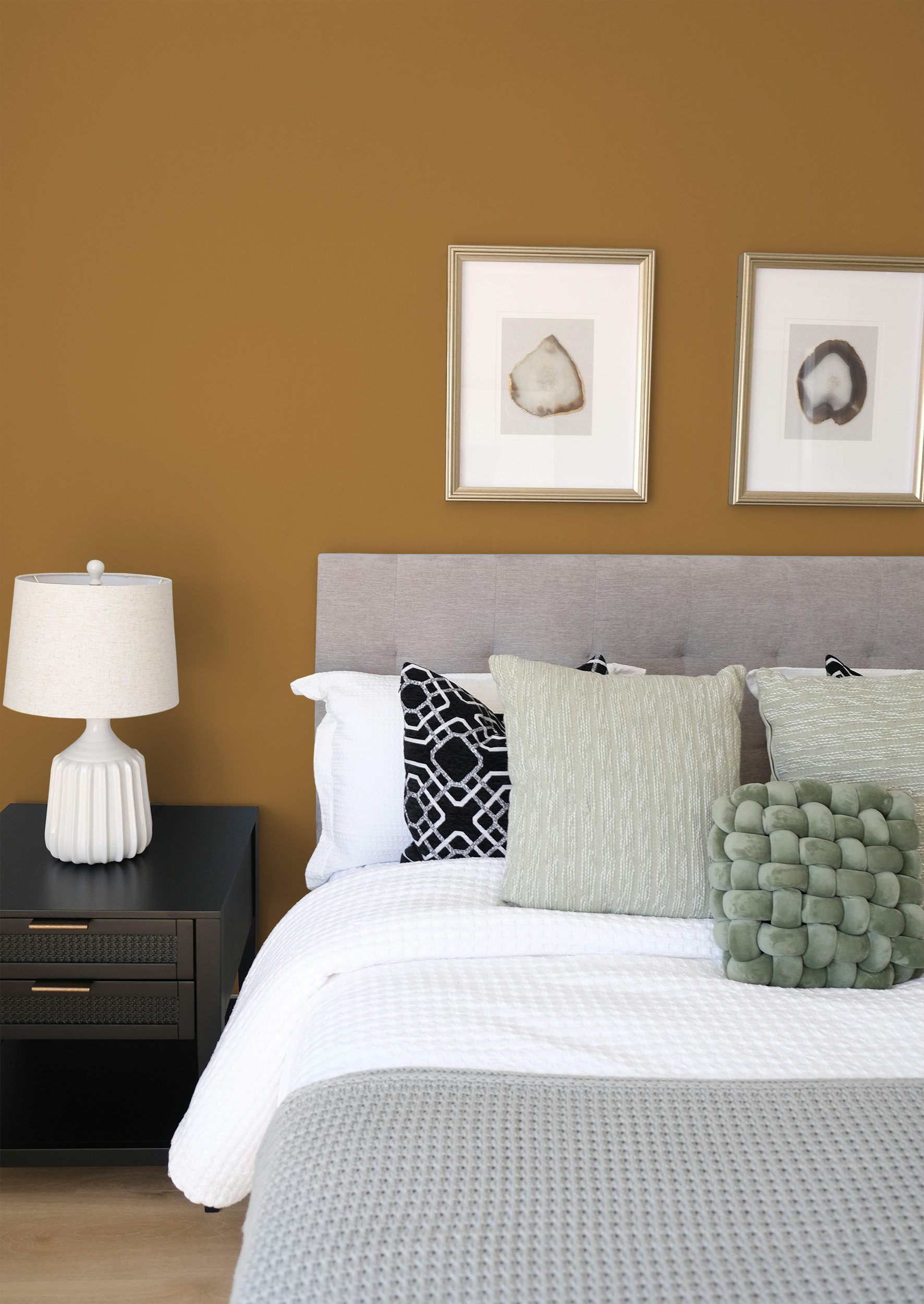 Littorine - Peinture biosourcée murs et plafond