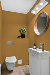 Littorine - Peinture biosourcée murs et plafond