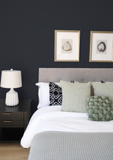 Laggua - Peinture biosourcée murs et plafond