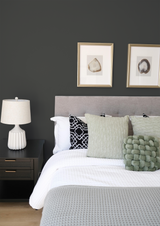 Bahinel - Peinture biosourcée murs et plafonds