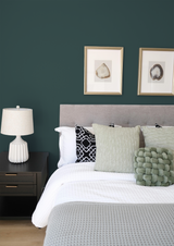 Halley - Peinture biosourcée murs et plafond