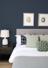 Atlantide - Peinture biosourcée murs et plafonds