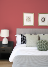 Koral - Peinture biosourcée murs et plafond