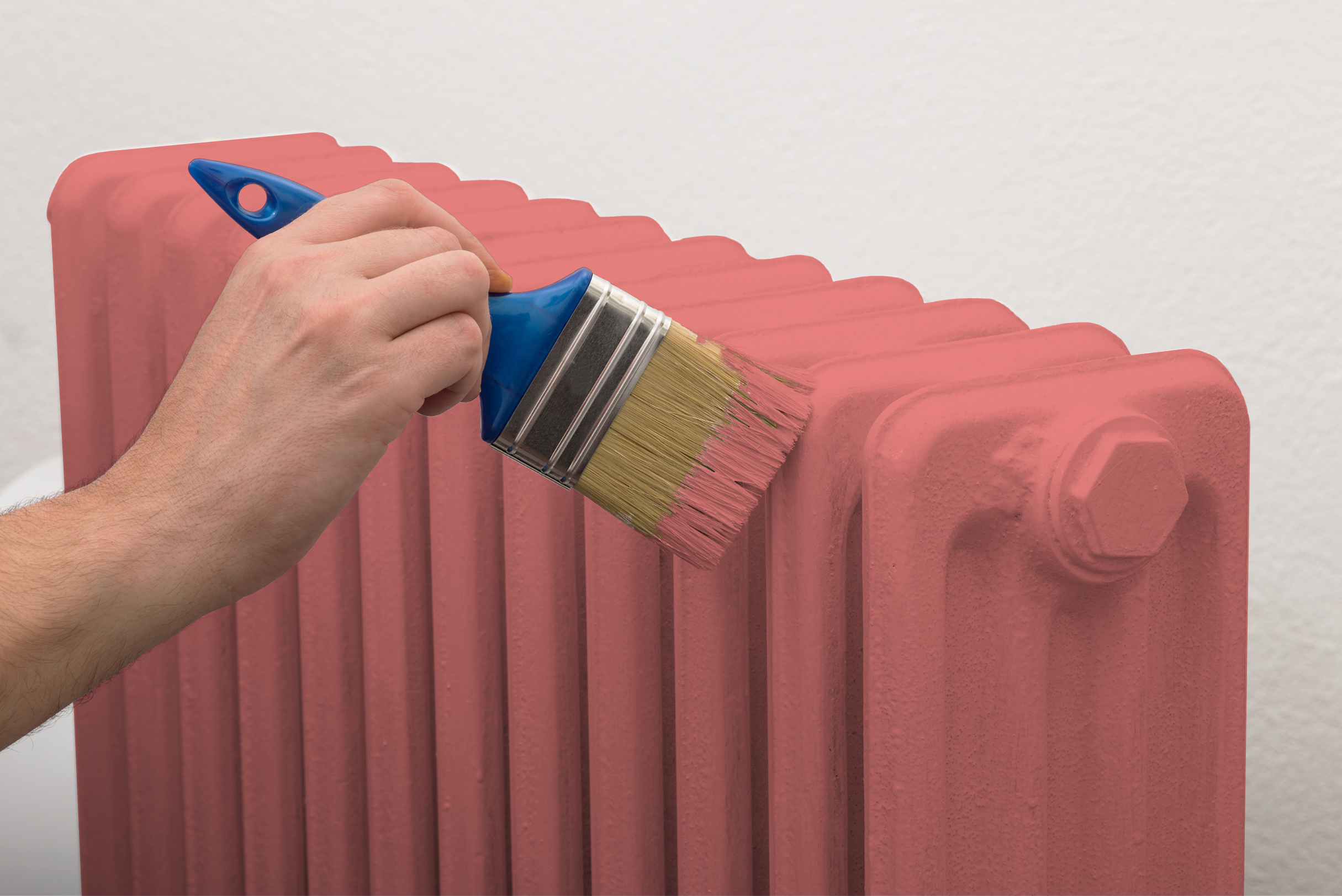 Koral - Laque biosourcée bois et métal