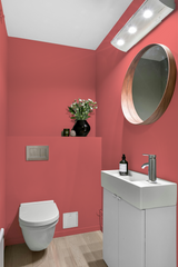 Koral - Peinture biosourcée murs et plafond