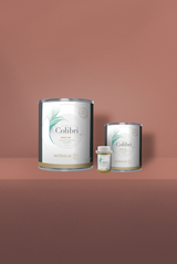 Tolosa - Peinture biosourcée murs et plafonds