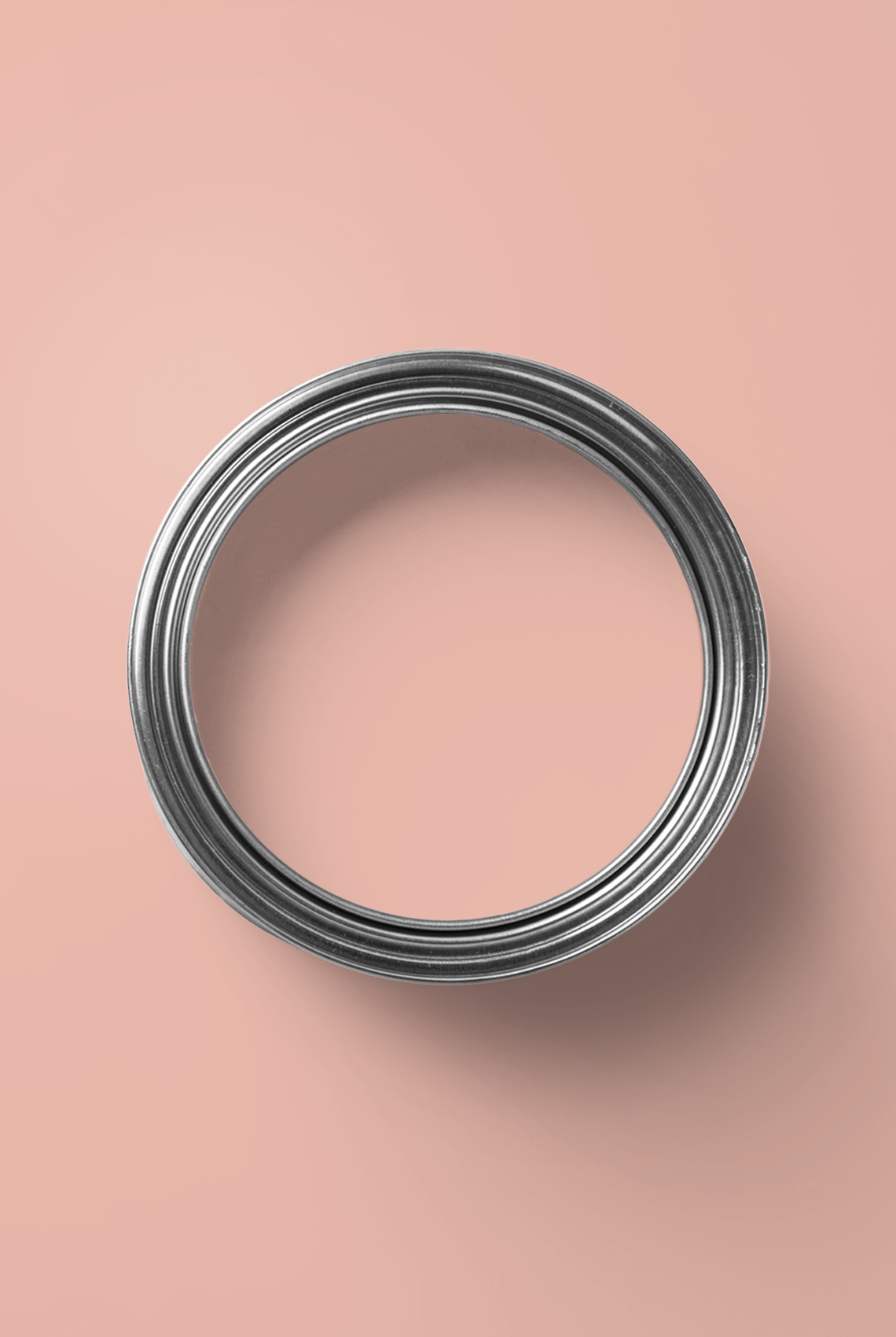 Chair - Peinture biosourcée murs et plafonds