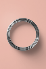 Chair - Peinture biosourcée murs et plafonds