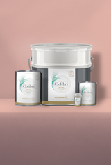 Chair - Peinture biosourcée murs et plafonds