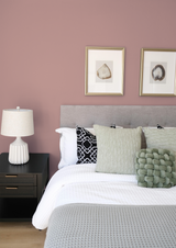 Chair - Peinture biosourcée murs et plafonds