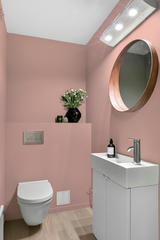 Chair - Peinture biosourcée murs et plafonds