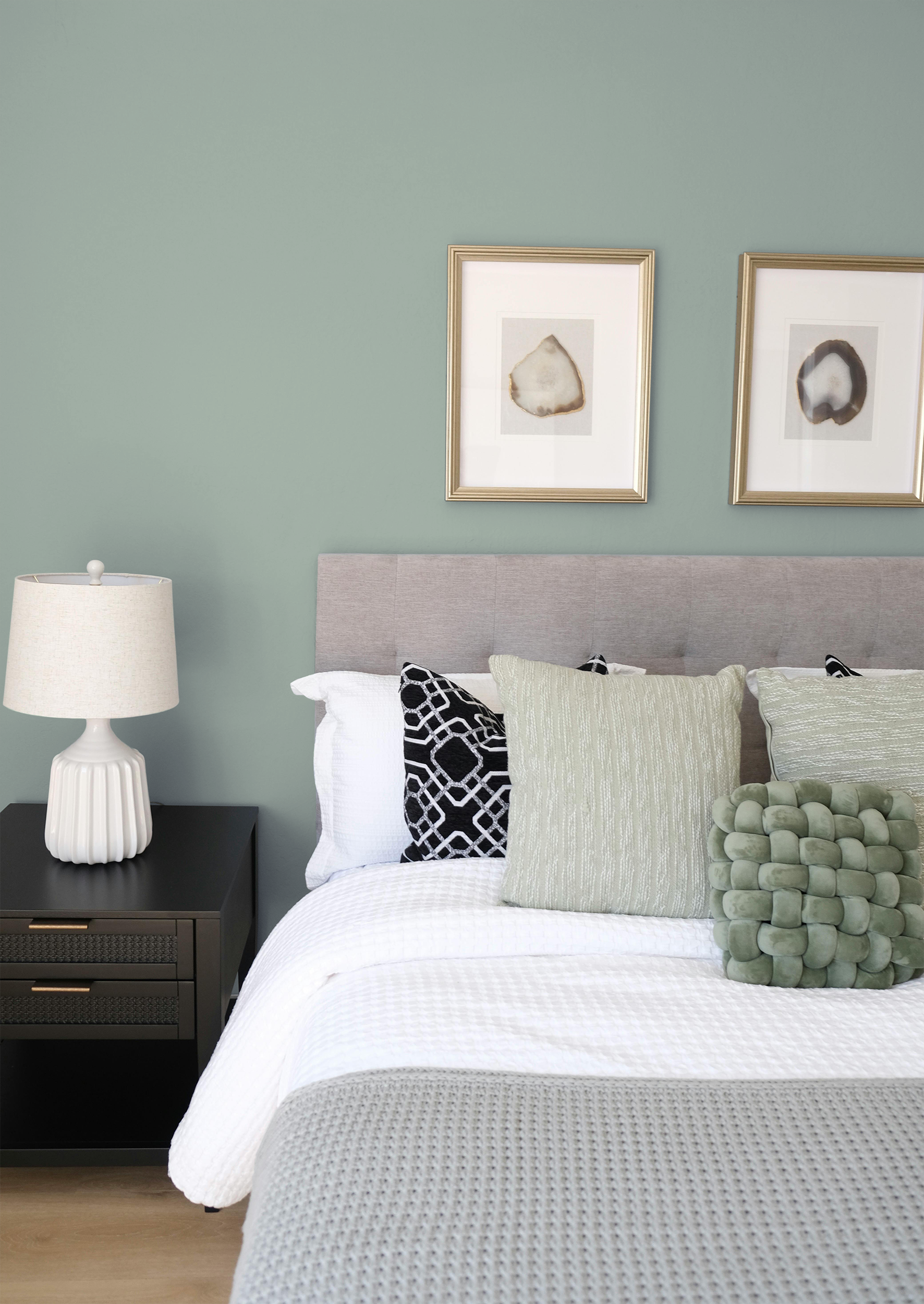 Eté clair - Peinture biosourcée murs et plafonds