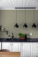 Sapinette - Peinture biosourcée murs et plafonds