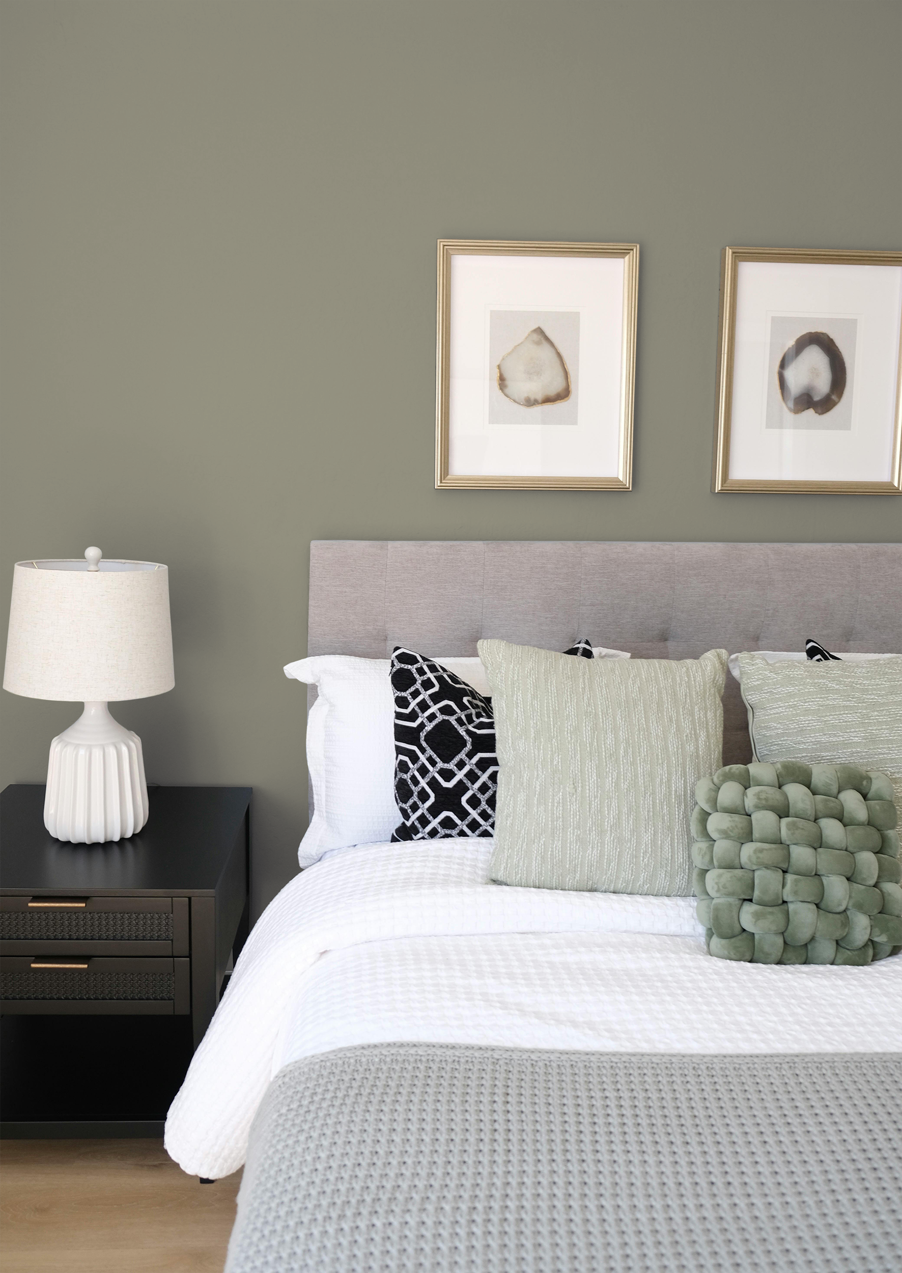 Sapinette - Peinture biosourcée murs et plafonds