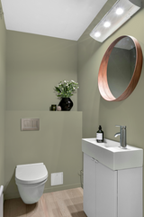 Sapinette - Peinture biosourcée murs et plafonds