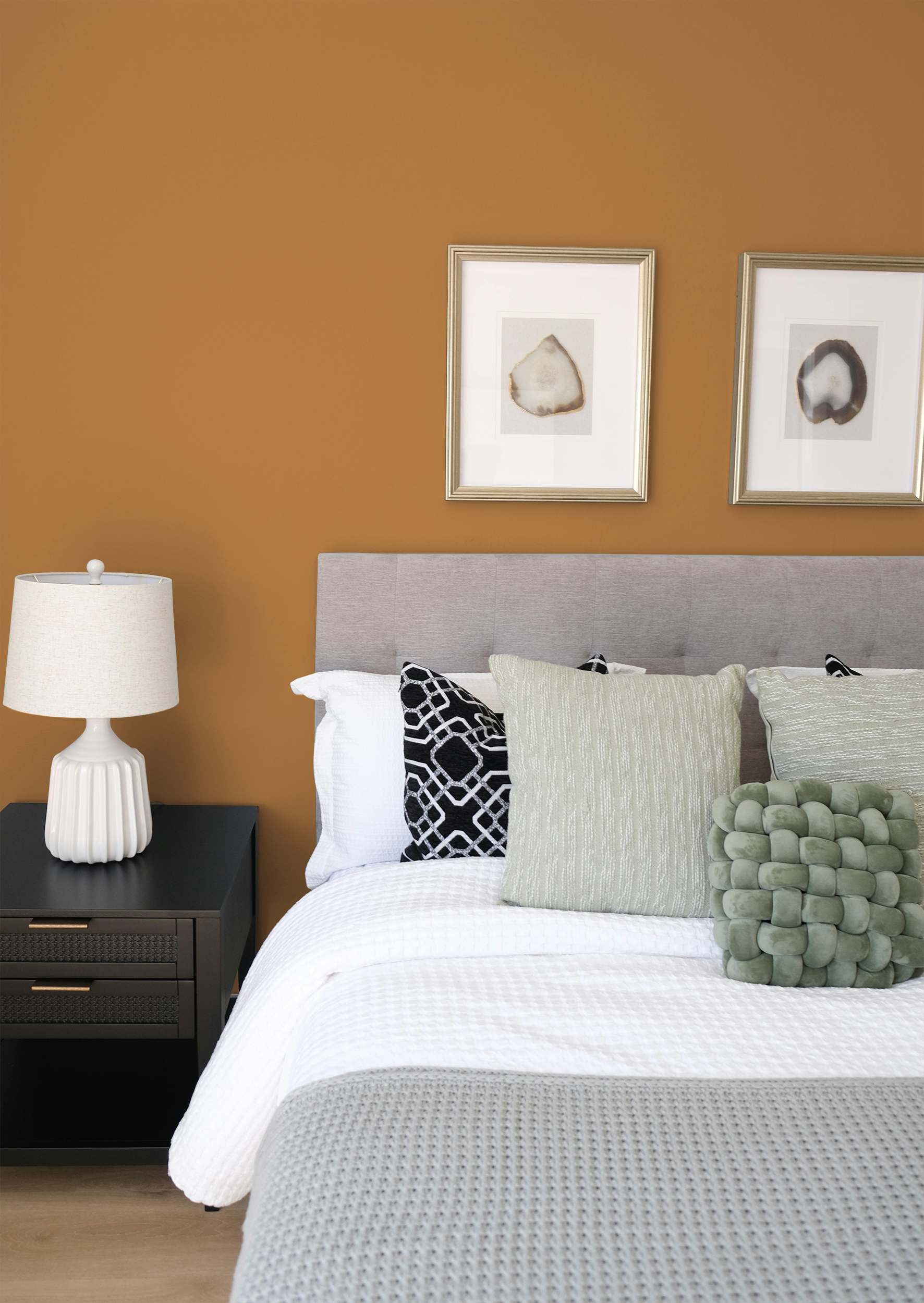 Zeste - Peinture biosourcée murs et plafonds