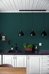 Cèdre - Peinture biosourcée murs et plafonds