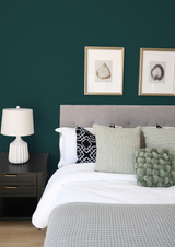 Cèdre - Peinture biosourcée murs et plafonds