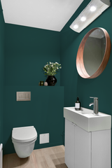 Cèdre - Peinture biosourcée murs et plafonds