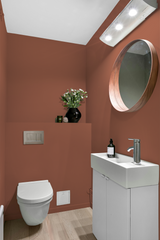 Rolland - Peinture biosourcée murs et plafond