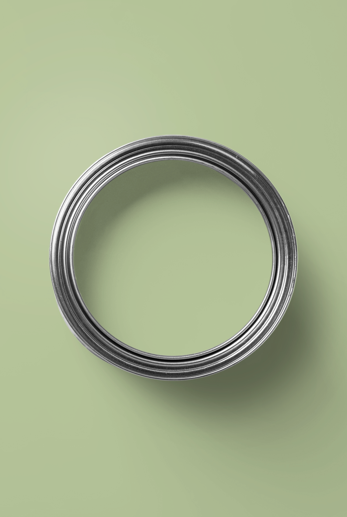 Bourgeon - Peinture biosourcée murs et plafonds