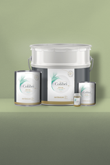 Bourgeon - Peinture biosourcée murs et plafonds