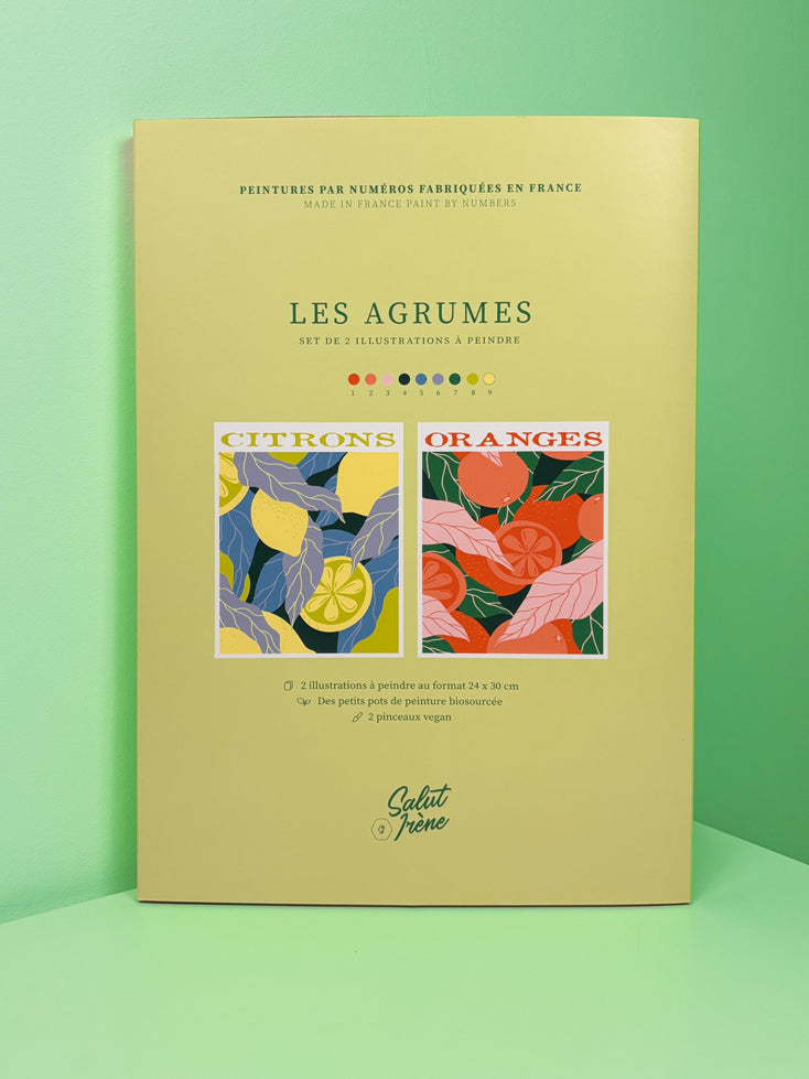 Les agrumes - Coffret peinture au numéro Salut Irène