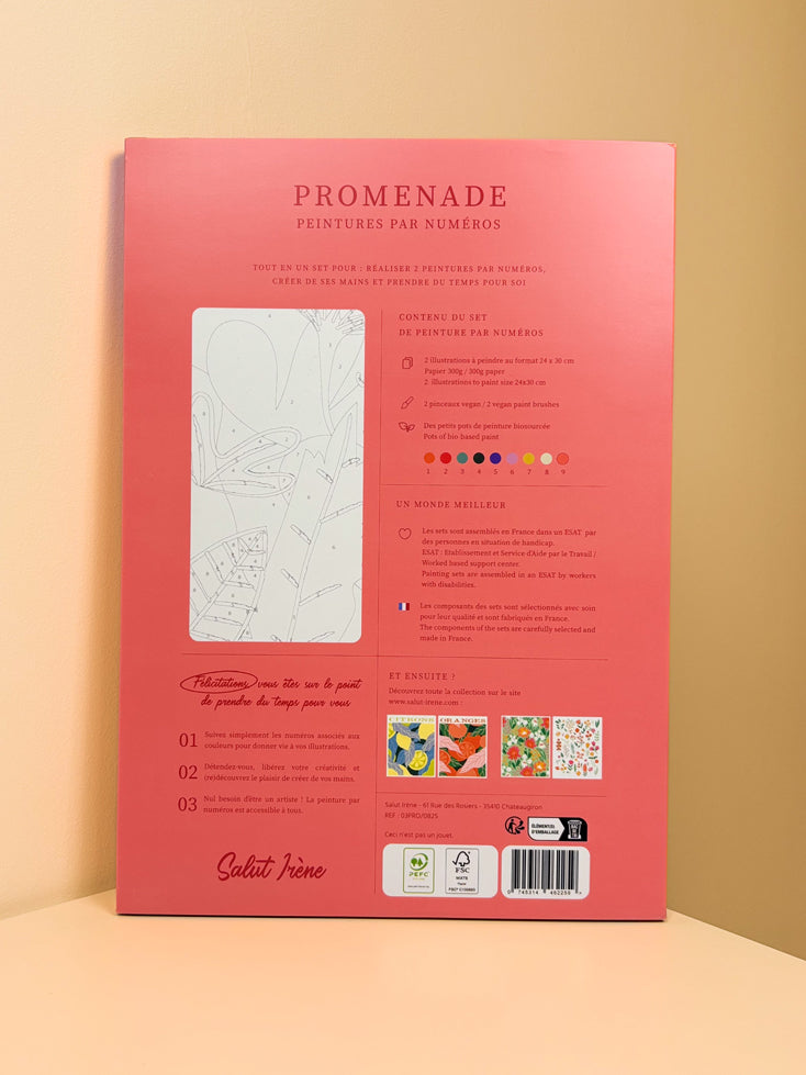 Promenade rouge - Coffret peinture au numéro Salut Irène