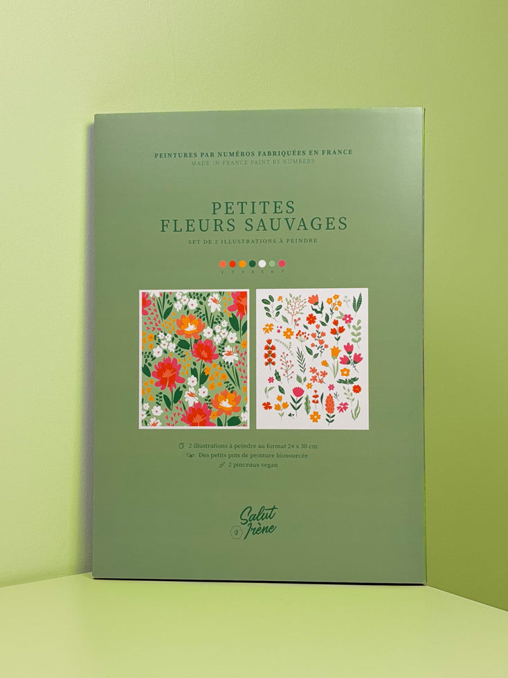 Petites fleurs sauvages - Coffret peinture au numéro Salut Irène