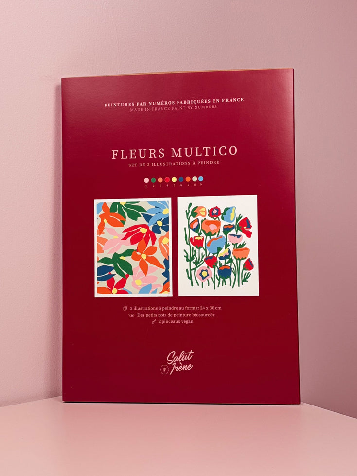 Kit de peinture par numéros pour adultes - Peinture par numéros avec cadre - Grande toile avec pigments acryliques et pinceaux - 30,5 x 40,6 cm - Décoration murale - Cadeau pour femme F-2