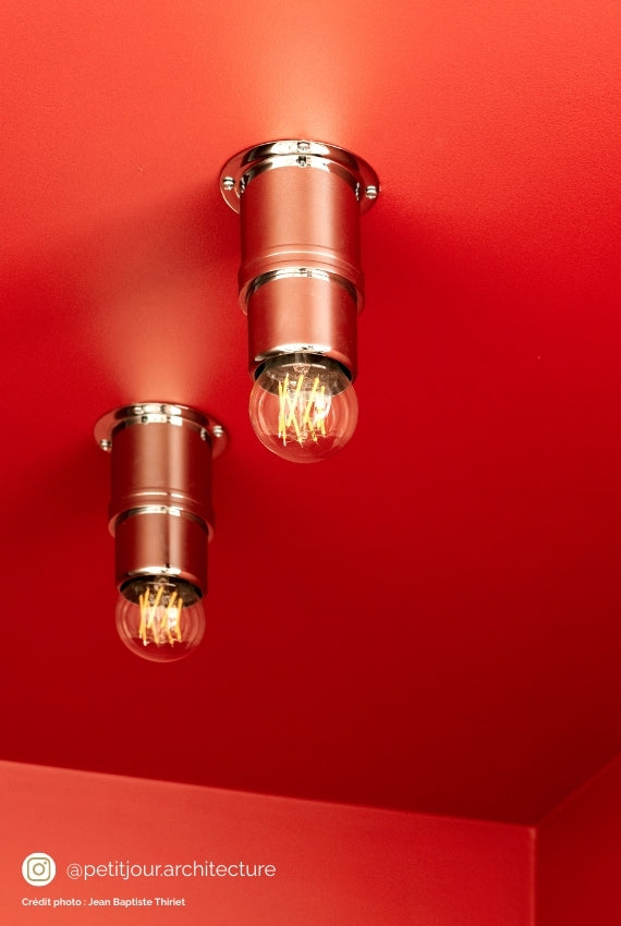 Grive - Peinture biosourcée murs et plafond