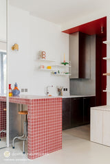 Grive - Peinture biosourcée murs et plafond