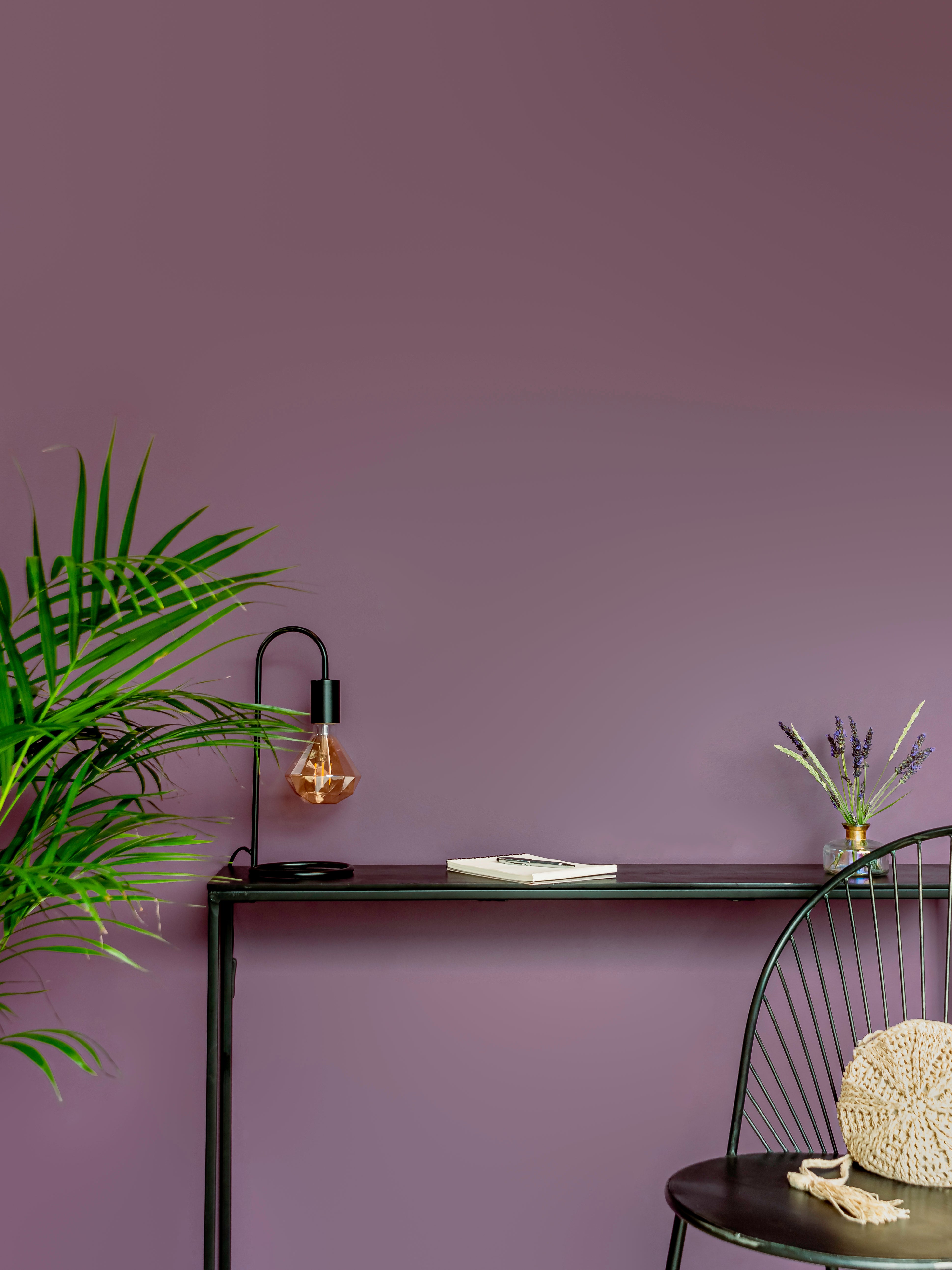 Hortensia - Peinture biosourcée murs et plafond