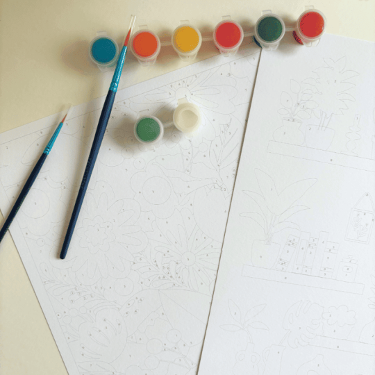 Jardins- Coffret peinture au numéro Salut Irène