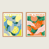 Les agrumes - Coffret peinture au numéro Salut Irène
