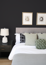 Noir - Peinture biosourcée murs et plafond