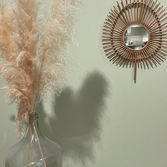 Sapinette - Peinture biosourcée murs et plafonds