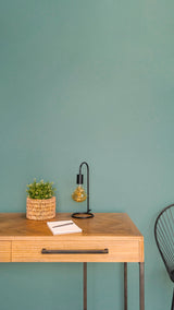 Saulaie - Peinture biosourcée murs et plafond