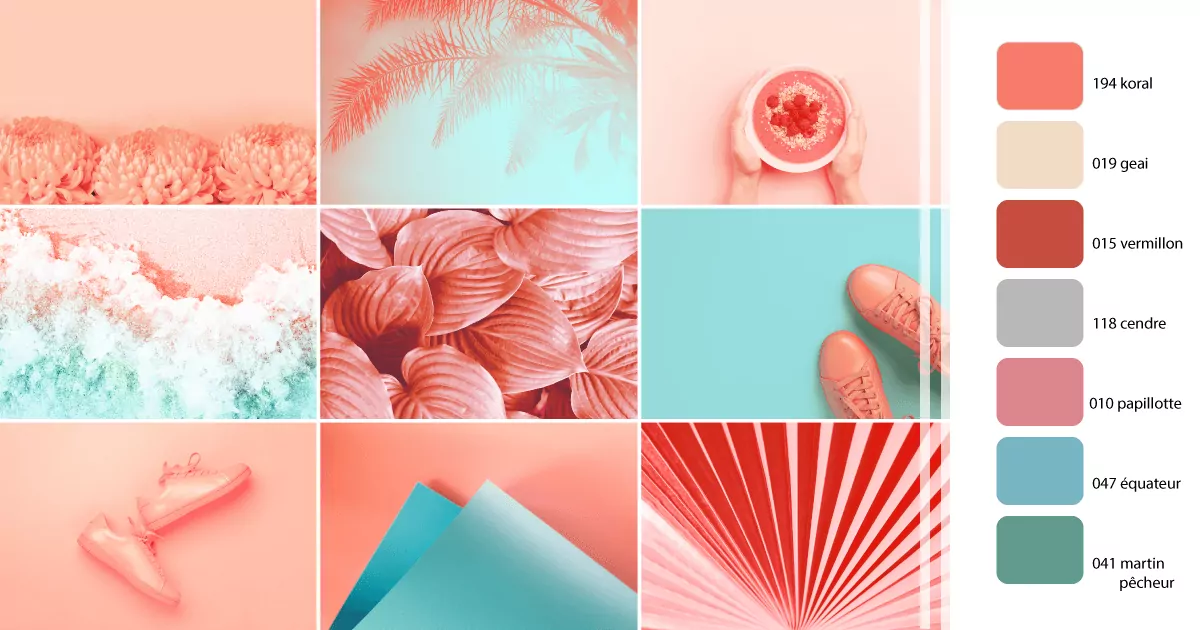 Tendance KORAL : quand les couleurs de peinture COLIBRI surfent sur les récifs coraliens !